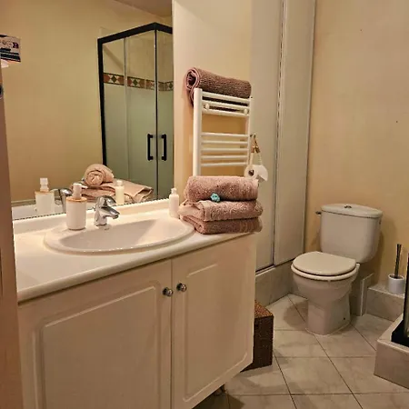 Lumineux En Plein Centre-ville, Avec Terrasse Privée Sur Cour, Situé Place Du Pin Appartement *
